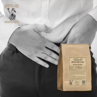 Brennnesselwurzel geschnitten – Urtica dioica | Apophycarius