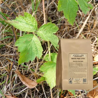 infusion Ortie piquante - Apophycaire