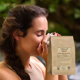 Luftteilschnitt des Sauerampfers (Rumex acetosa) - Apophycaire