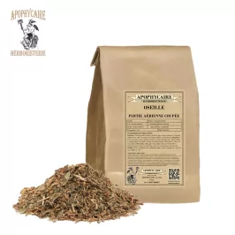 Kuşkonmazın havadan kesilmiş kısmı – Rumex acetosa | Apophycarius