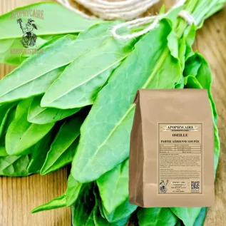 Sorrel aerial part cut – Rumex acetosa | Apophycaire