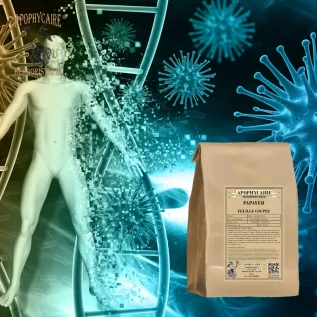 tisane Papayer feuille - Apophycaire