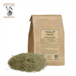 Polvo de hoja de papaya – Carica papaya | Apophycarius