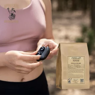 infusion Papayer feuille (Carica papaya) - Apophycaire