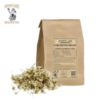 Pâquerette capitule blumig lose – Bellis perennis | Apophycaire