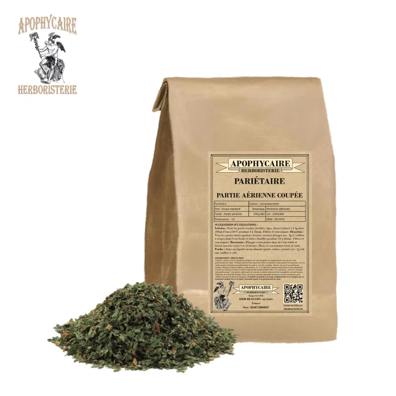 Parietaria officinalis (Apophycaire)