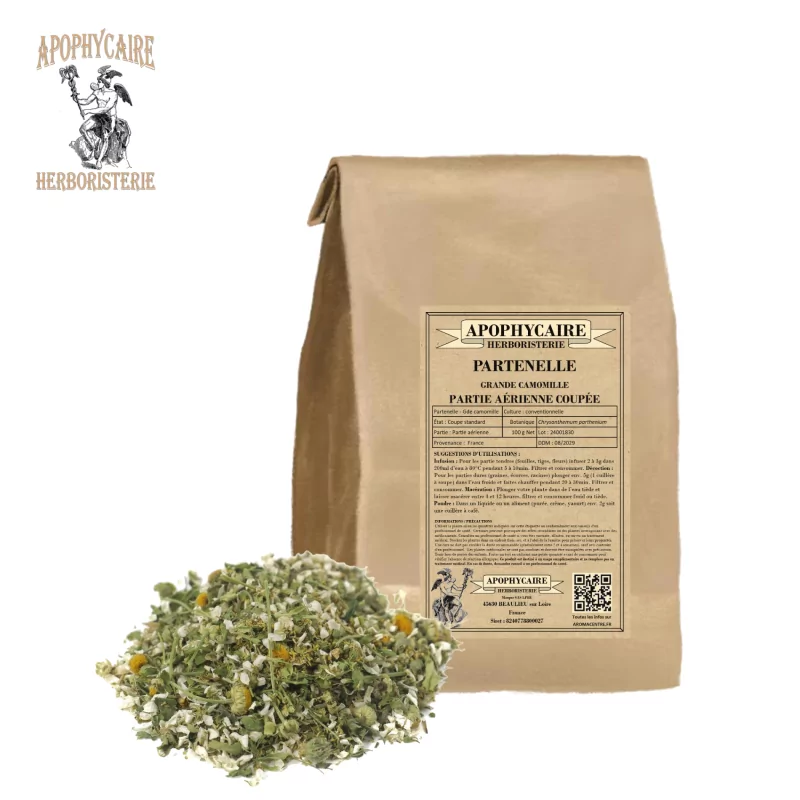 Partenelle coupée (Chrysanthemum parthenium) - Apophycaire