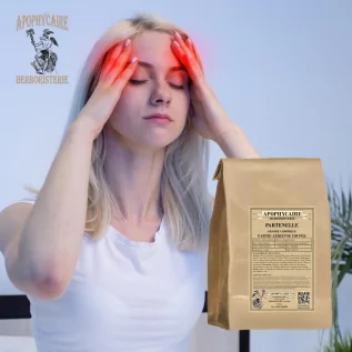 Parte aérea cortada de la matricaria – Chrysanthemum parthenium | Apophycarius