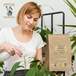 Patchouli-Blattpulver – Pogostemon Patchouli | Apophycaire