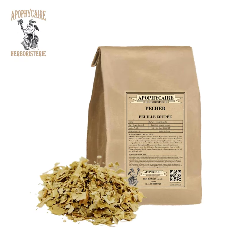 Melocotón de hoja cortada (Prunus persica) - Apophycaire