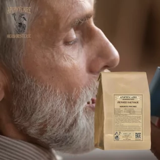 infusion Pensée sauvage  (Viola tricolor) - Apophycaire