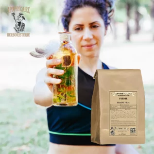 Fruto de perejil suelto (Petroselinum sativum) - Apophycaire