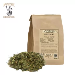 Kesik yapraklı çuha çiçeği – Vinca minor | Apophycarius