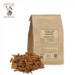 Peuplier bourgeon vrac (Populus nigrum) - Apophycaire