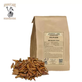 Peuplier bourgeon vrac (Populus nigrum) - Apophycaire