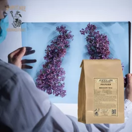 Peuplier bourgeon vrac (Populus nigrum) - Apophycaire