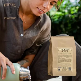 Corte de la parte aérea de Pilosella – Hieracium pilosella | apofícaire