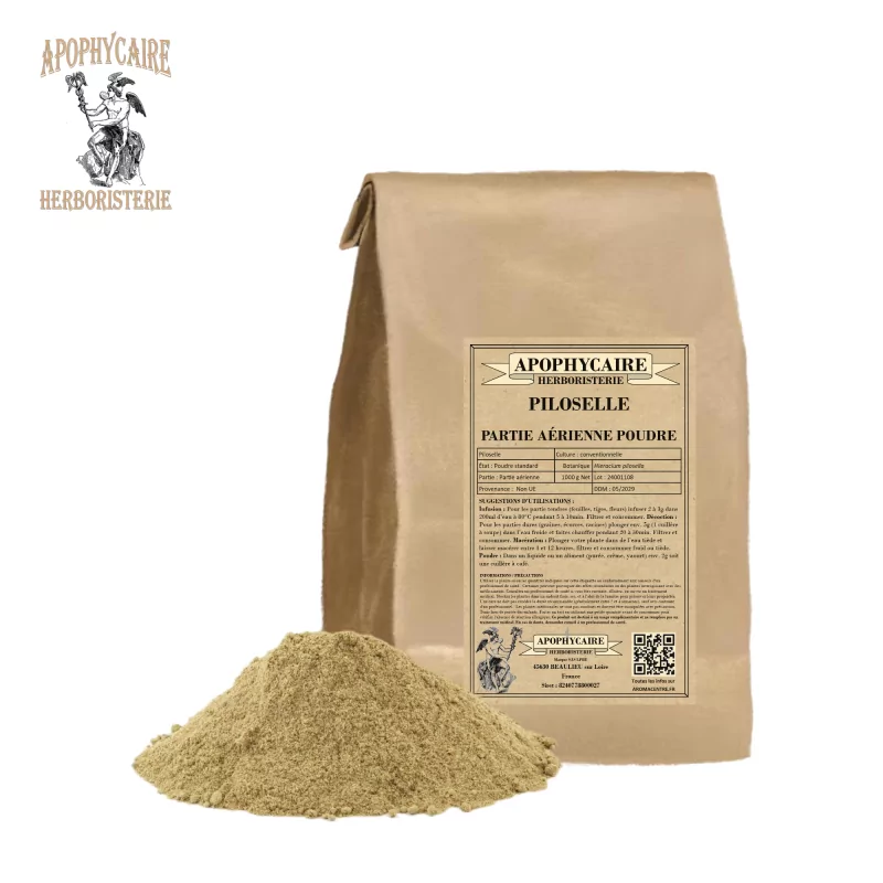 Kleines Habichtskraut (Hieracium pilosella) - Apophycaire Kleines Habichtskraut (Hieracium pilosella) - Apophycaire