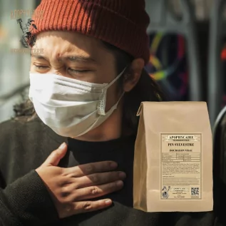 İskoç çamı gevşek tomurcuk (Pinus sylvestris) - Apophycaire