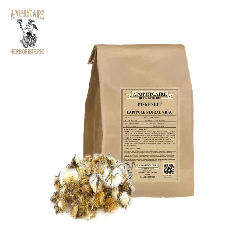 Diente de león (Taraxacum dens leonis) - Apophycaire