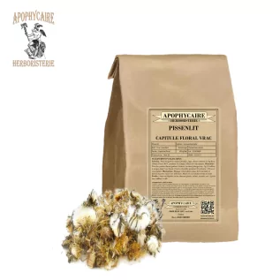 Pissenlit capitule floral coupé (Taraxacum dens leonis) - Apophycaire