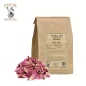 Peony flower in bulk – Paeonia officinalis | Apophycaire