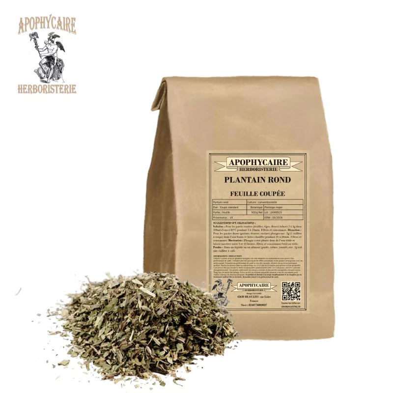 Yuvarlak Muz (Plantago major) - Apophycaire