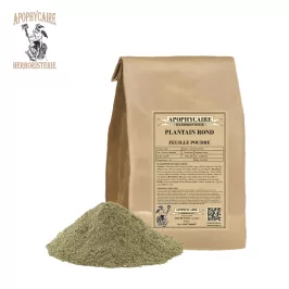 Polvo de hoja redonda de plátano – Plantago major | Apophycarius