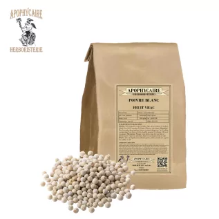 Granos de pimienta blanca sueltos – Piper nigrum | Apophycarius