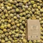 Loser grüner Pfeffer (Piper nigrum) - Apophycaire