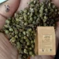 Green pepper powder (Piper nigrum) - Apophycaire
