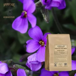 Polygala de China (Polygala tenuifolia) - Apophycaire