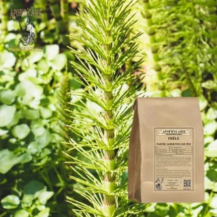 Cola de caballo (Equisetum arvense) - Apophycaire