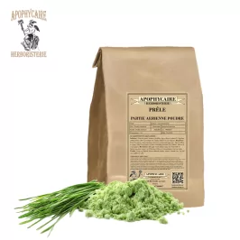 Tarla atkuyruğu tozu – Equisetum arvense | Apophycarius