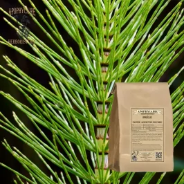 Horsetail powder (Equisetum arvense) - Apophycaire