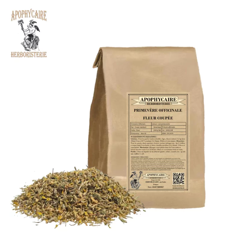 Kesme çiçek çuha çiçeği (Primula officinalis) - Apophycaire