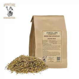 Çuha çiçeği gevşek – Primula officinalis | Apophycarius