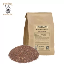 Primevère officinale racine coupée (Primula officinalis) - Apophycaire