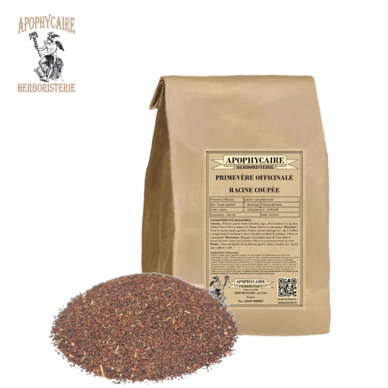 Raíz de prímula cortada (Primula officinalis) - Apophycaire
