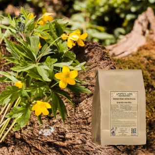 Schlüsselblume, geschnittene Wurzel – Primula officinalis | Apophycarius