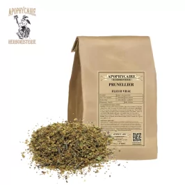 Blackthorn flower in bulk – Prunus spinosa | Apophycaire