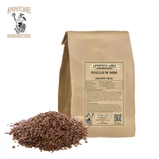 Semillas de psyllium negro a granel – Plantago psyllium | Apophycarius