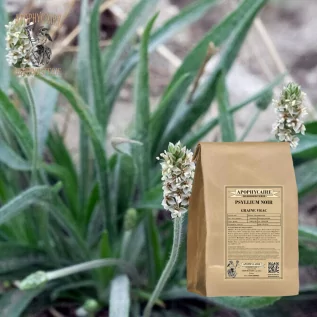 Siyah psyllium tohumu toplu (Plantago psyllium) - Apophycaire