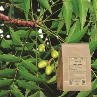 Pygeum bark powder (Pygeum africanum) - Apophycaire
