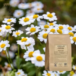 Pyrethrumblüten lose - Biozid - (Anacyclus pyrethrum) - Apophycaire