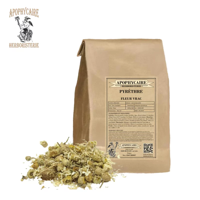 Piretrum çiçeği toplu - Biyosit - (Anacyclus pyrethrum) - Apophycaire Piretrum çiçeği toplu - Biyosit - (Anacyclus pyrethrum) - Apophycaire