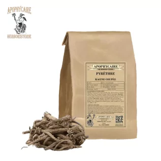Pyrethrum cut root – Anacyclus pyrethrum | Apophycaire