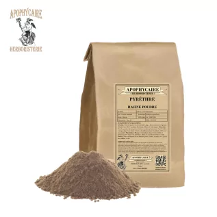 Polvo de raíz de piretro – Anacyclus pyrethrum | Apophycarius