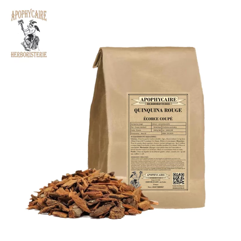 Red quinine cut bark (Cinchona succirubra) - Apophycaire