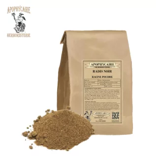 Radis noir racine poudre (Raphanus sativus var. niger) - Apophycaire